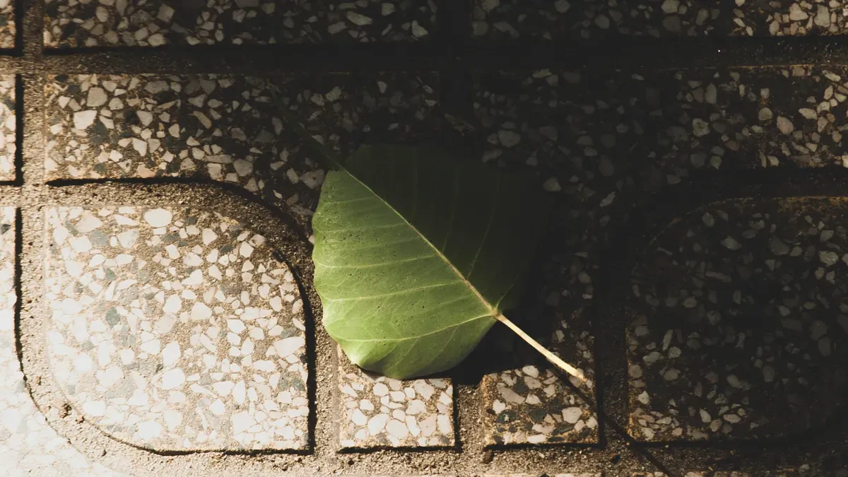 Sustainability and Life Cycle Performance